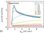 Publication: Transport Study of Charge-Carrier Scattering in Monolayer WSe$_2$