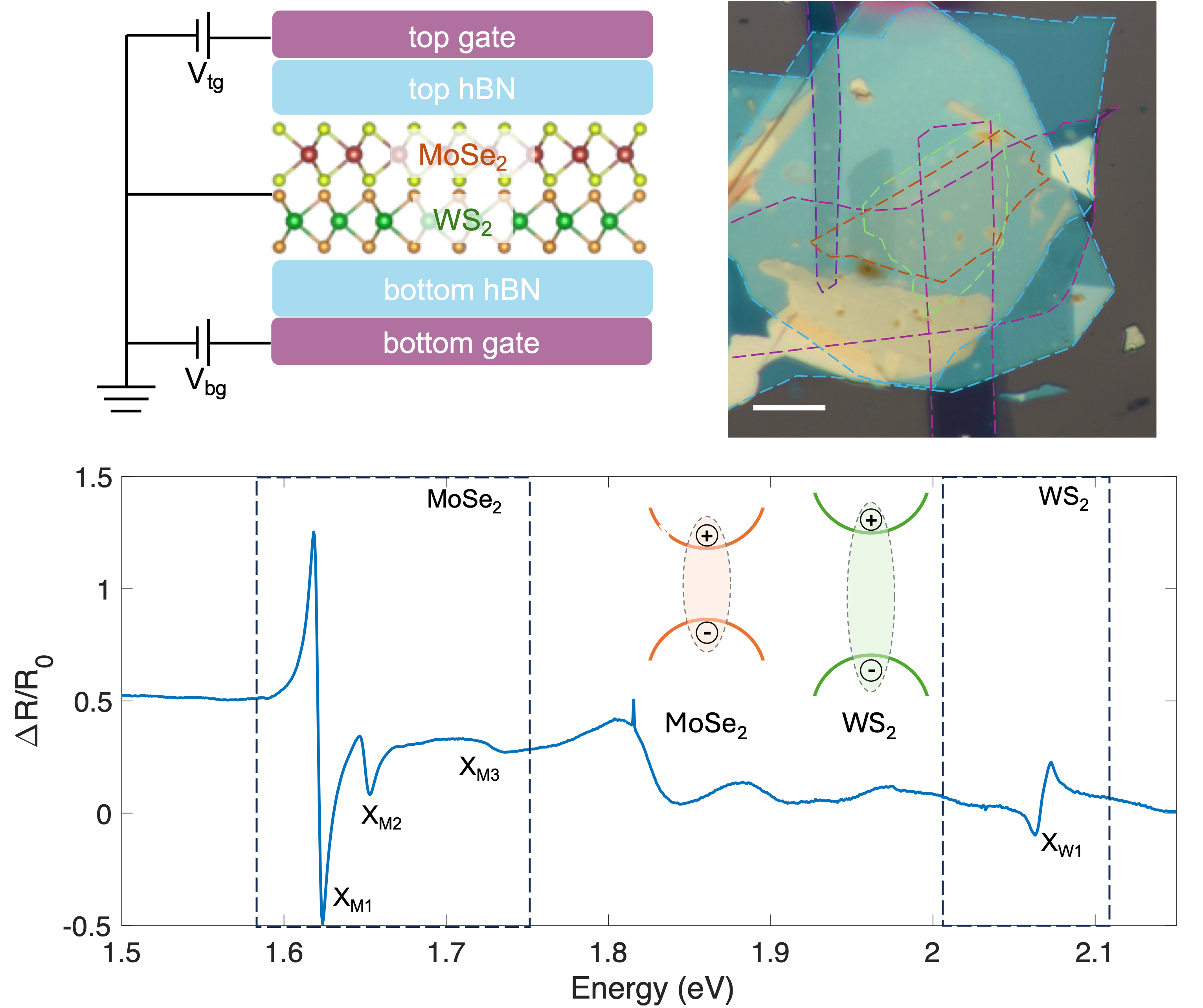 Moiré heterostructure schematic