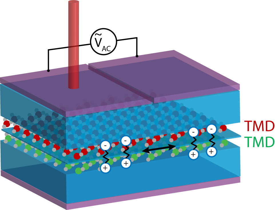 Interlayer exciton schematic