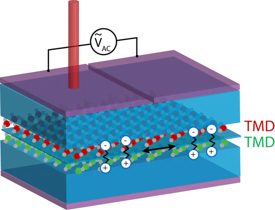 Novel optical detection of correlated states in two-dimensional van der Waals heterostructures