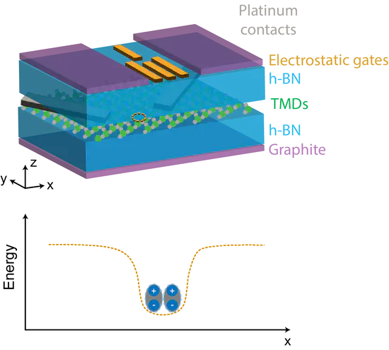 Quantum light and Bose-Hubbard simulator