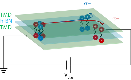 Valleytronic quantum devices